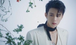 娱乐圈爆料檀健次小说,娱乐圈幕后风云，揭秘小说中的真实人生