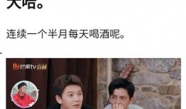 陈翔爆料视频大全最新,揭秘娱乐圈不为人知的幕后故事