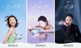 黑木日料爆料视频大全下载,揭秘美食背后的秘密